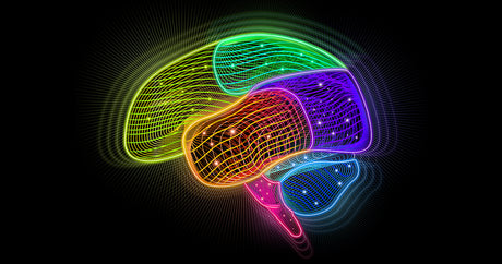 Psychedelic Rainbow Colored Brain Illustration