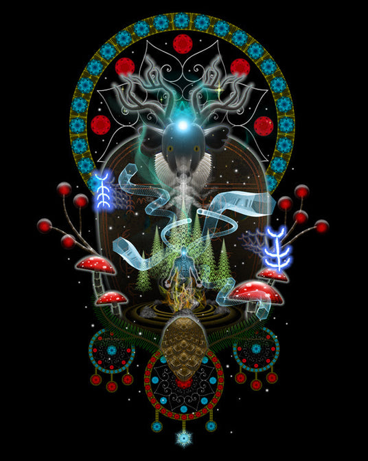 Visionary Art | Noaidi