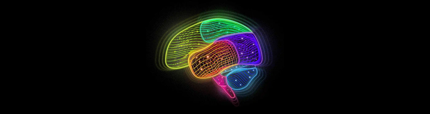 Brain Illustration of a Rainbow Brain with each section defined by its own colorful compartment.