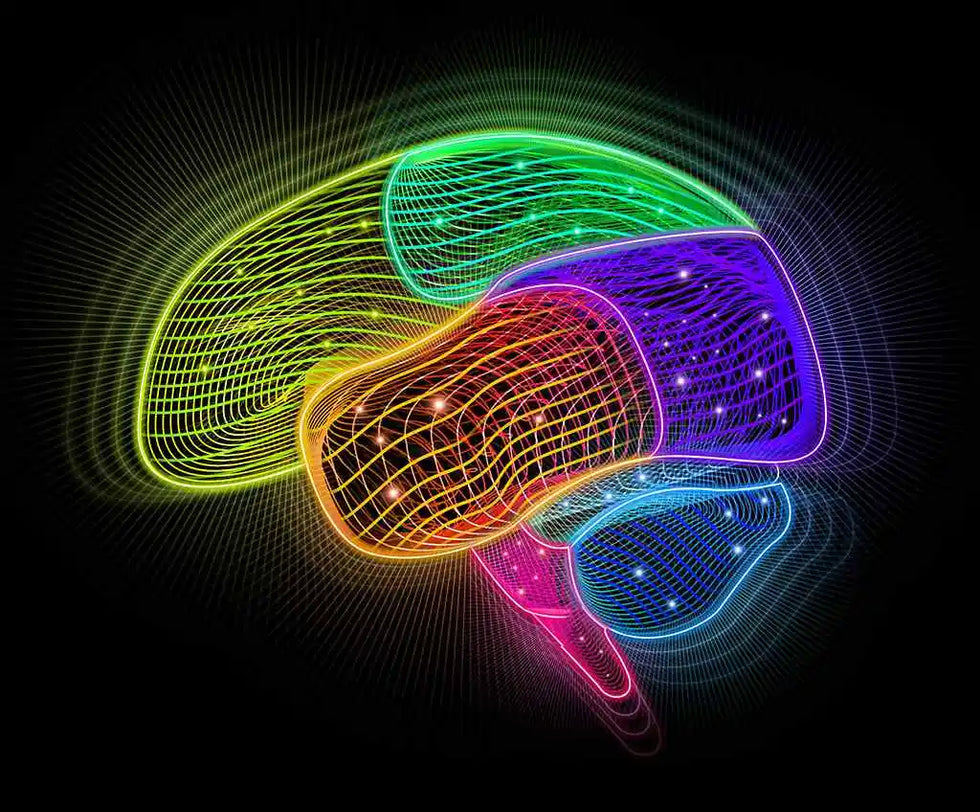 Brain Illustration of a Rainbow Brain with each section defined by its own colorful compartment.